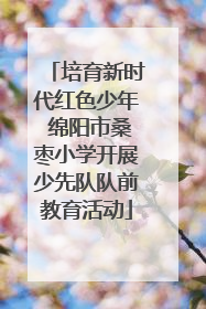 培育新时代红色少年 绵阳市桑枣小学开展少先队队前教育活动